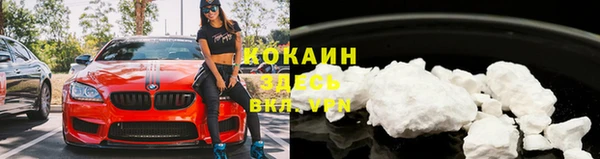 прущие крисы Дмитриев