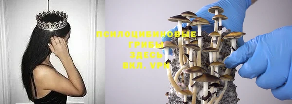 jwh Дмитровск