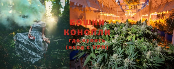 прущие крисы Дмитриев