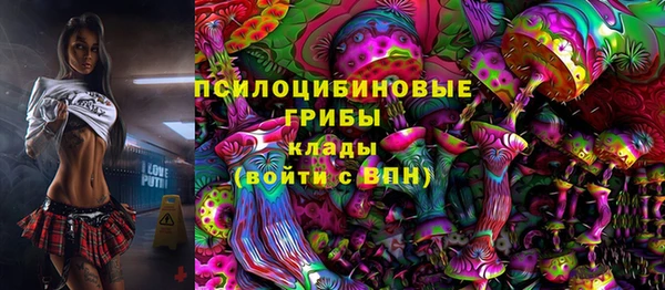 jwh Дмитровск