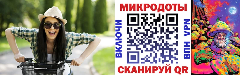 Псилоцибиновые грибы Psilocybe  Купить где  Михайлов 